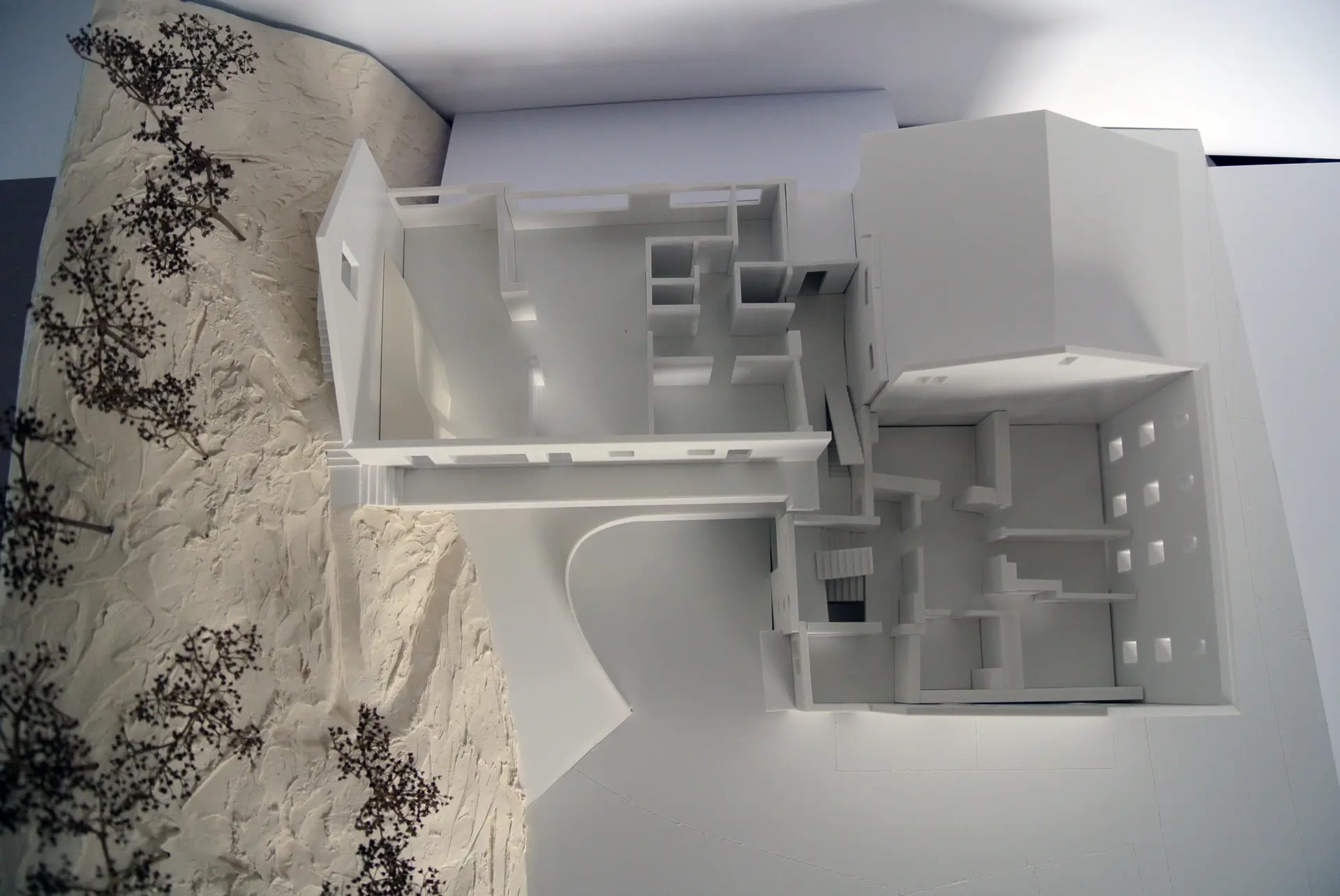 04_Bergwaldzentrum Trin_Studie